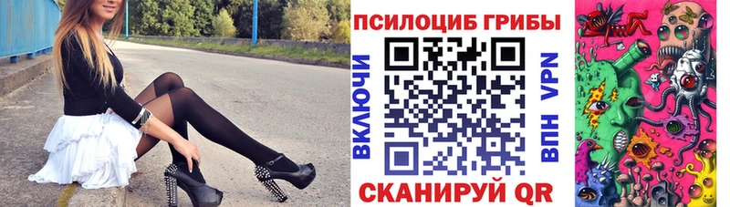 Галлюциногенные грибы Psilocybe как найти закладки Коломна